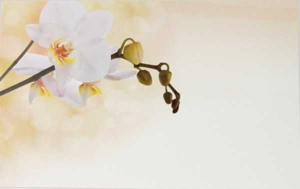 Picture of Florist Cards Small Orchid x 50pcs